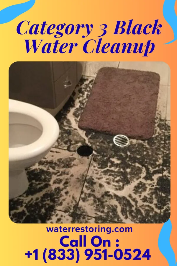 Category 3 Black Water Cleanup in Hill City, SD
