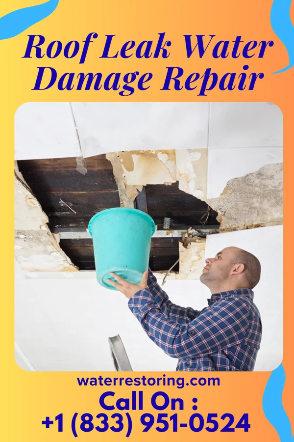 Roof Leak Water Damage Repair in Hill City, SD