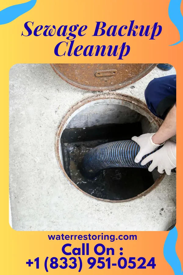 Sewage Backup Cleanup in Hill City, SD
